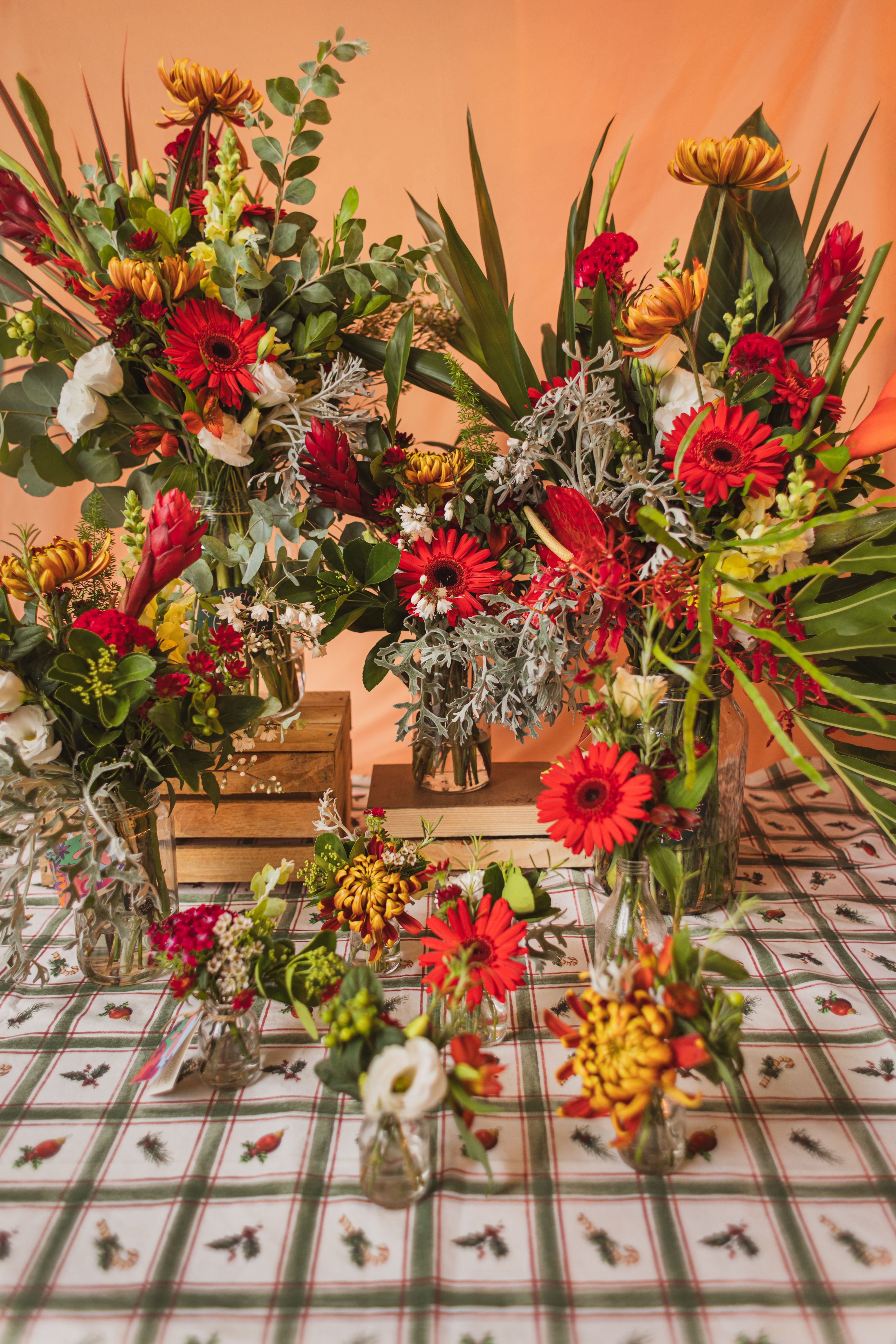 Kit Festão Natalino