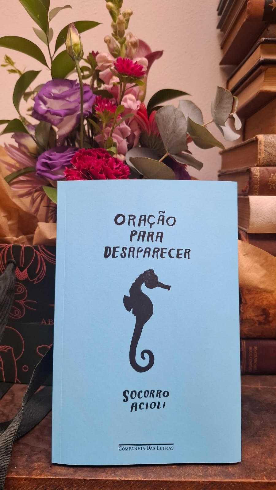 Livro Oração Para Desaparecer