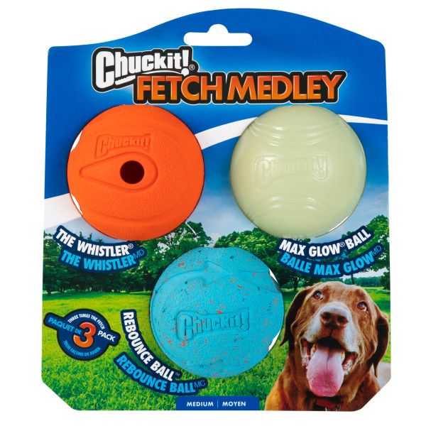 3 BOLINHHAS M - FETCH MEDLEY 1 - CHUCKIT!