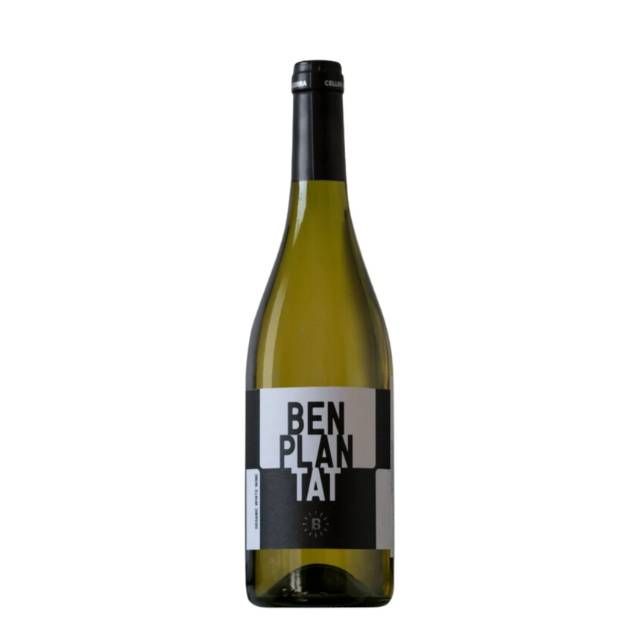 VINHO BENPLANTAT BLANC JOVE
