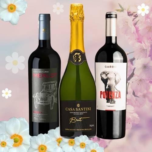 Kit "Mestres da Parrilla de Primavera"