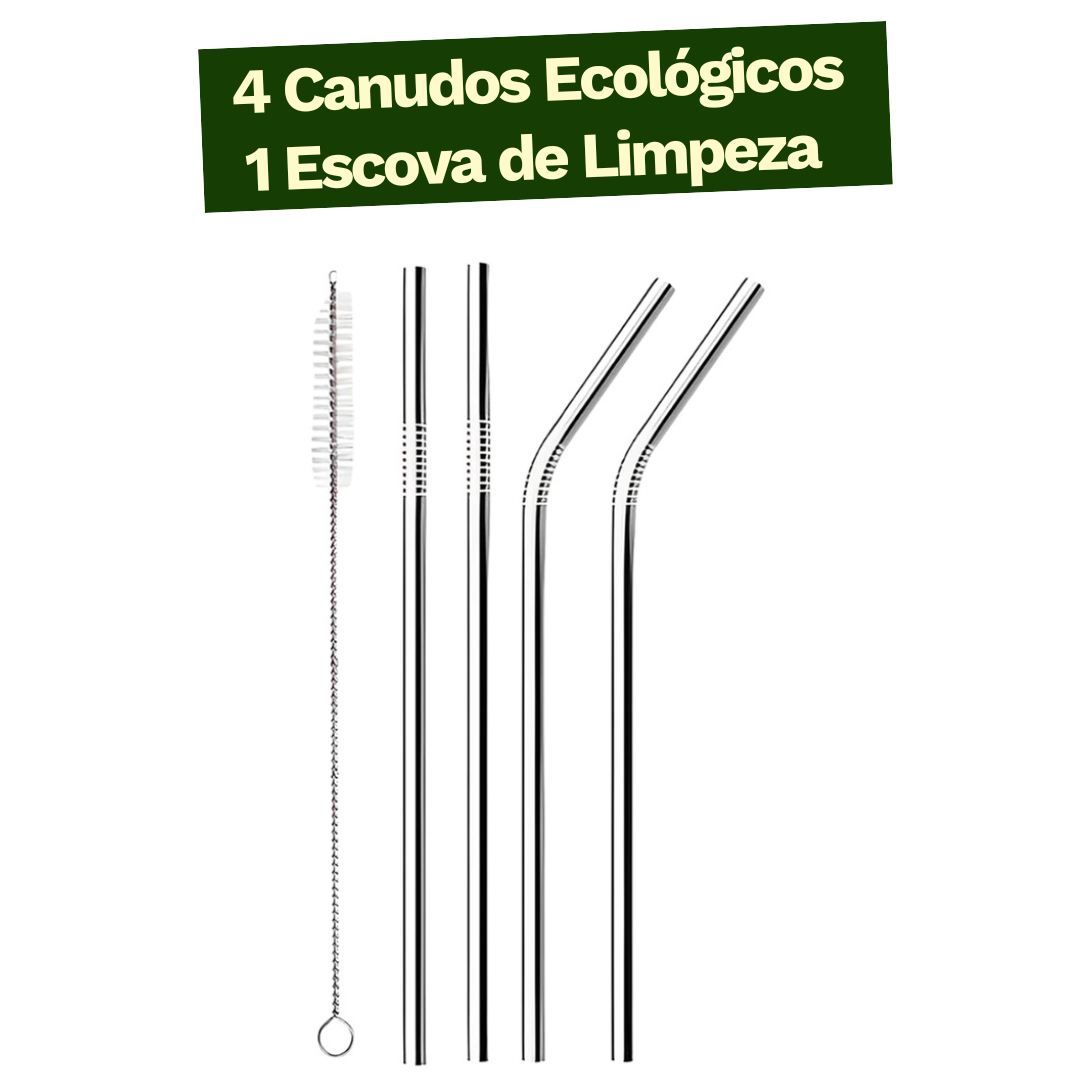 Kit 4 Canudos Inox com 1 Escova Ecológica Reutilizável