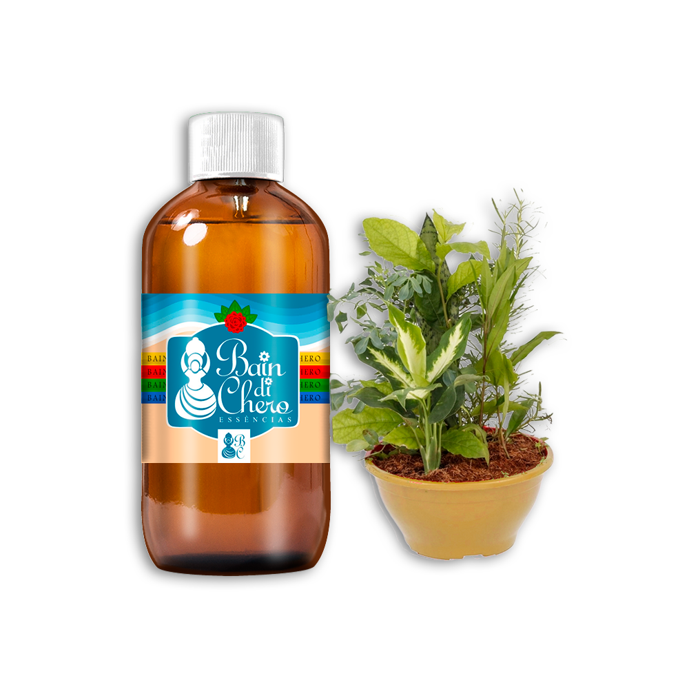 Essências para Velas Perfumadas de Sete Ervas a Base de Óleo Concentrada