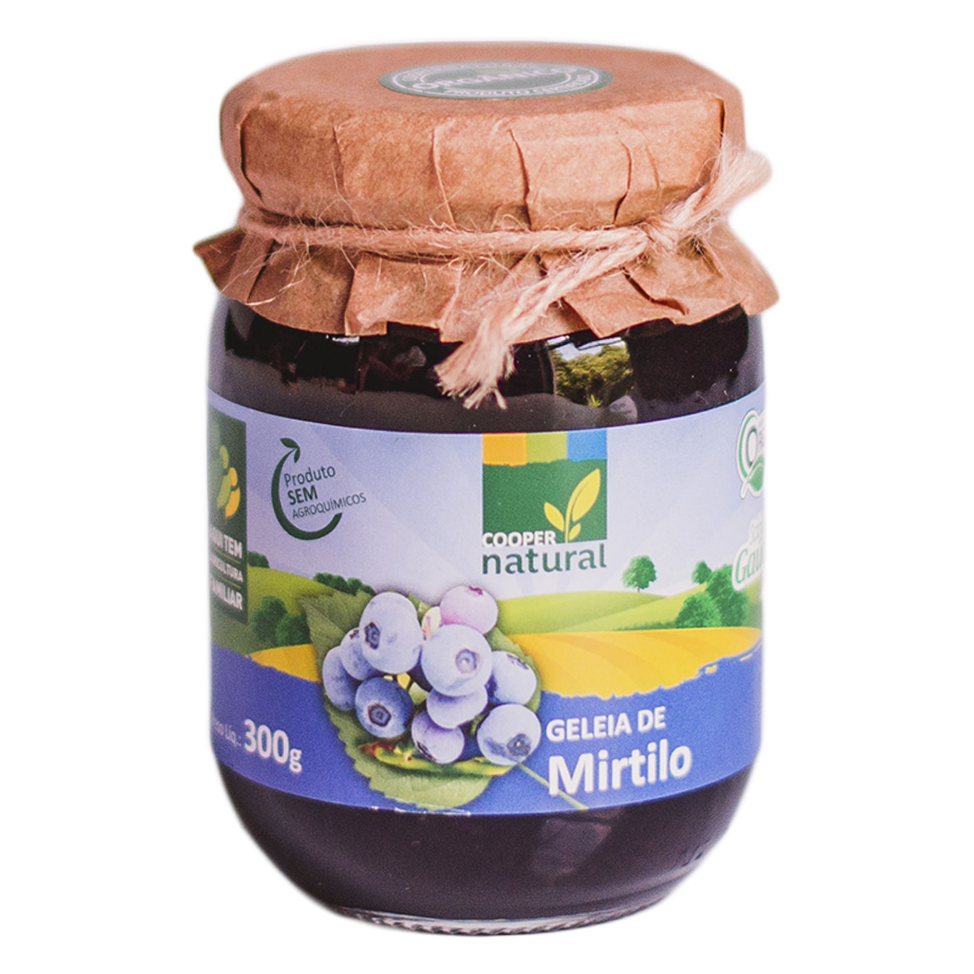 Geleia Gourmet de Mirtilo Blueberry - 300g - Coopernatural