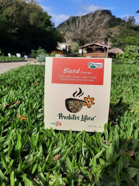 Blend Energia Chá Verde/Hortelã/Boldo - 15g - Sabor Gaúcho