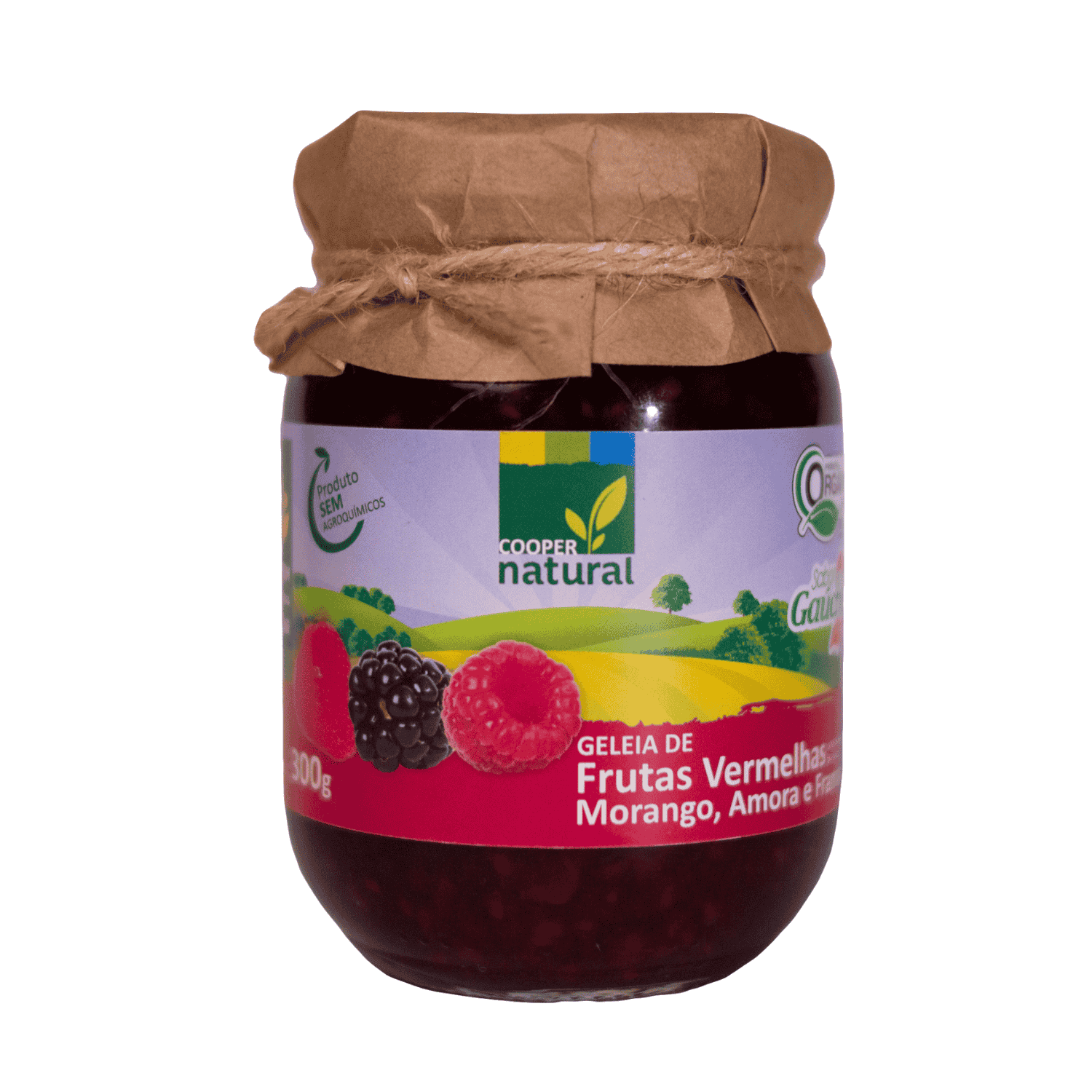 Geleia Gourmet Frutas Vermelhas - 300g - Coopernatural