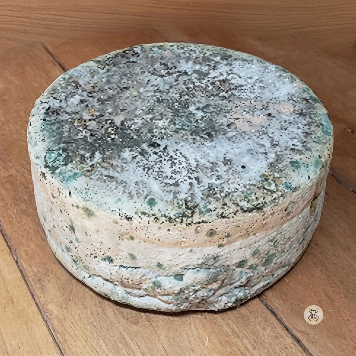 Briozo