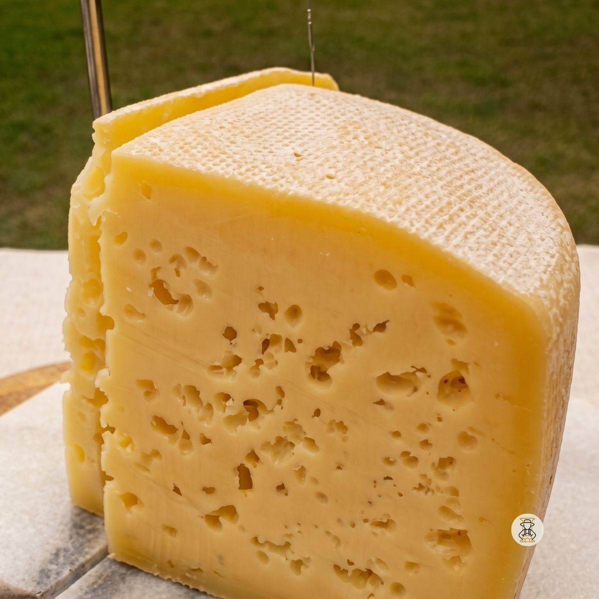 Venda Nova