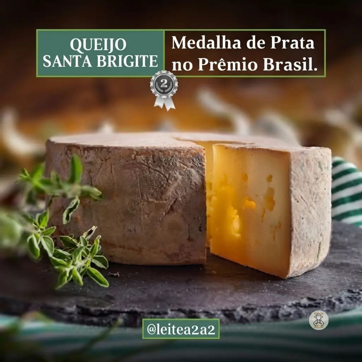 Santa Brigite Silvania