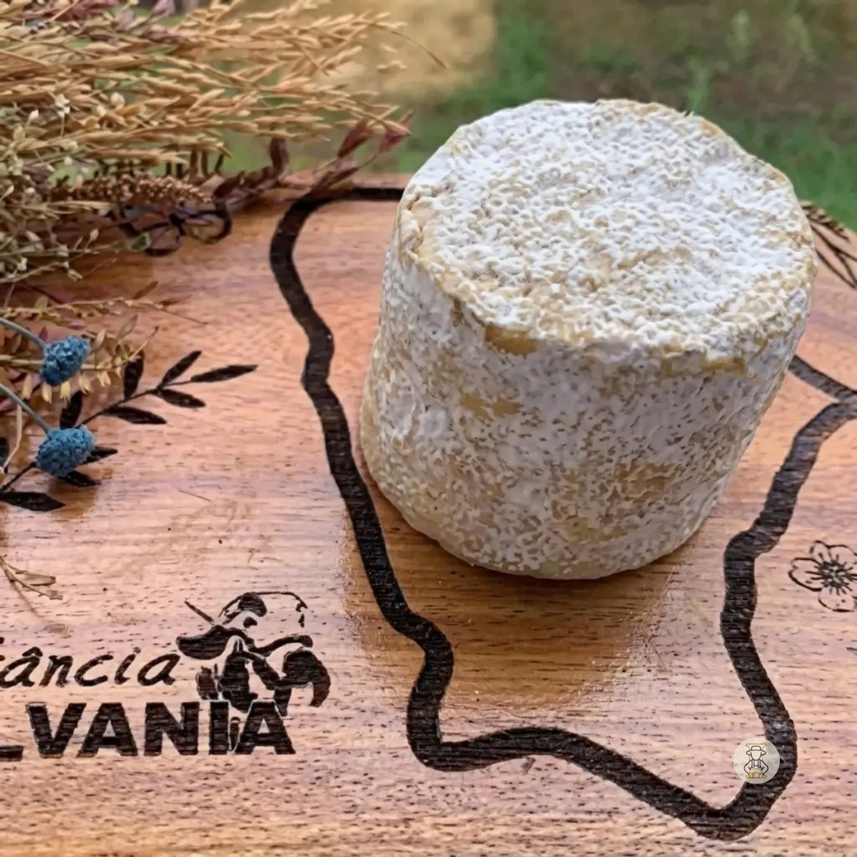 Desejo Silvania