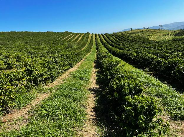 Natureza e preservação na Fazenda Barreiro
