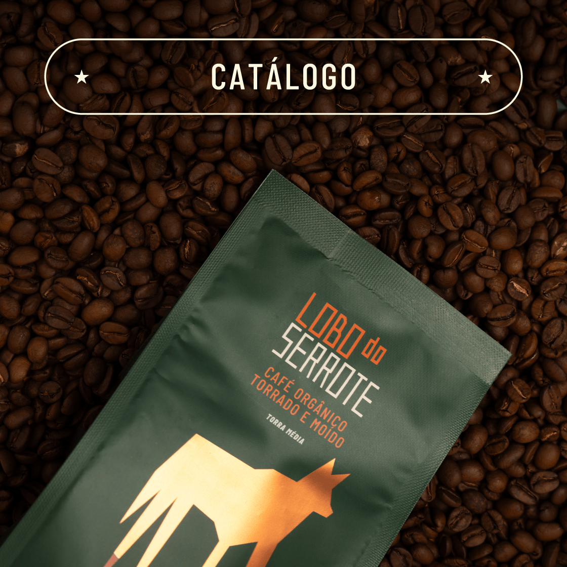 Banner Lobo do Serrote