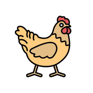 Galinhas caipiras livres no campo