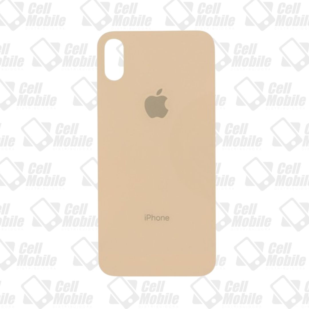 TAMPA IPHONE X ROSE S\/ LENTE