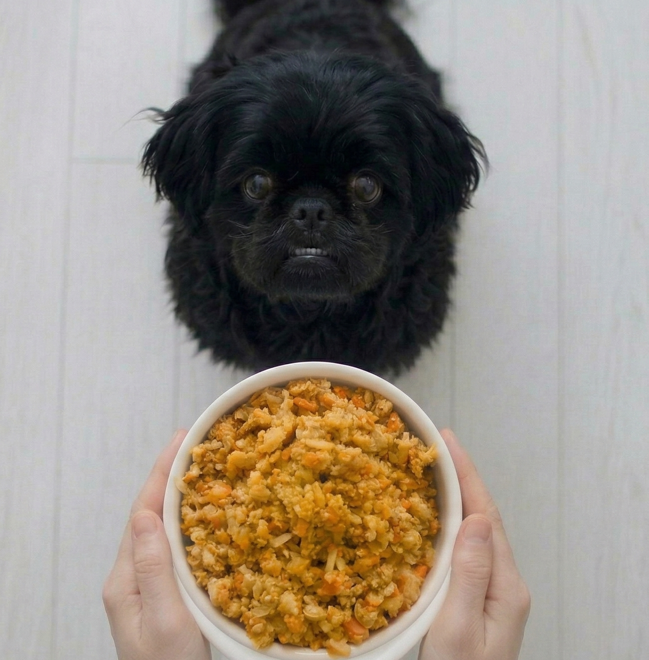 Lombo Essencial - Adulto (1 porção)