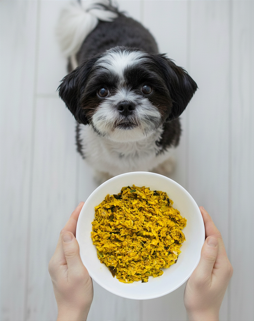 Cães Adulto - Pele sensível (1 porção)