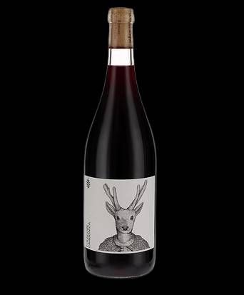 V UR ARINARNOA FOLKLORE CARBONICA CERRO CHAPEU GFA