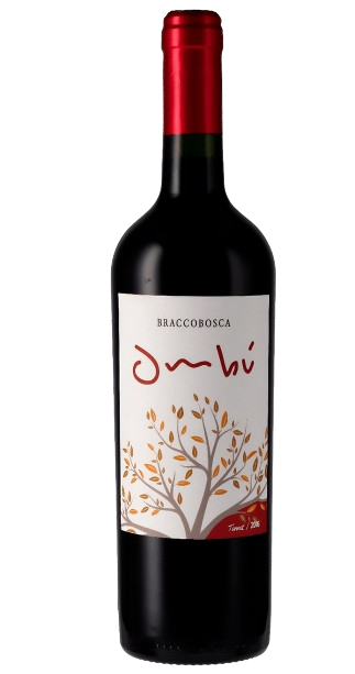 V UR BRACCOBOSCA OMBU RESERVE TANNAT 750ml | URUGUAI
