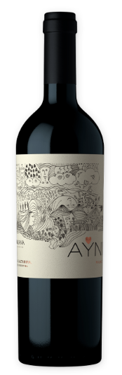 V AR CHAKANA TT AYNI MALBEC 750