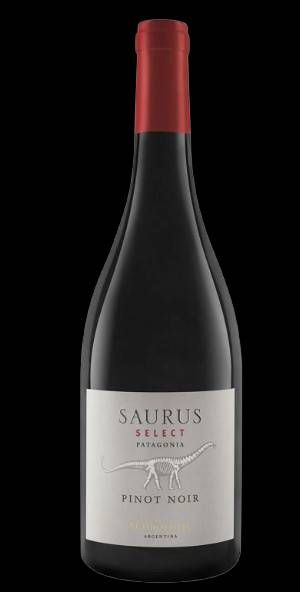 V AR SCHROEDER PINOT NOIR SELECT 2021