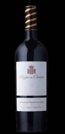 V ES PAGO CIRSUS VENDIMIA SELECCIONADA NAVARRA 2020