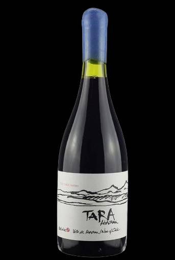 V CH TARA ATACAMA SYRAH