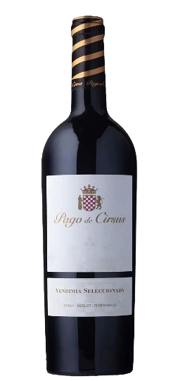  Pago de Cirsus Vendimia Seleccionada Navarra 2020 750ml