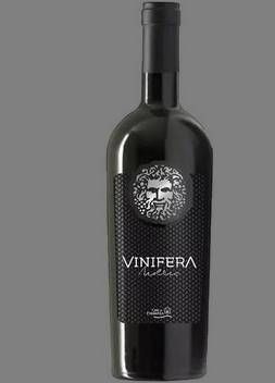 V AR VINIFERA CABERNET SAUVIGNON 750 ml | ARGENTINA
