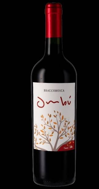 V UR BRACCOBOSCA OMBU RESERVE TANNAT 750ml | URUGUAI