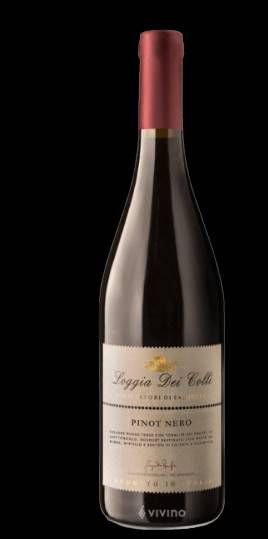 V IT PINOT NERO LOGGIA DEI COLLI IGT PIERA GFA