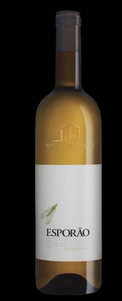 V PO ESPORAO COLHEITA ORG BC 750ML