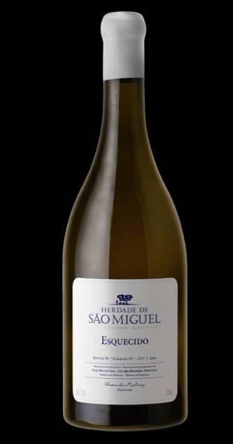 V PO HSM ESQUECIDO BC750