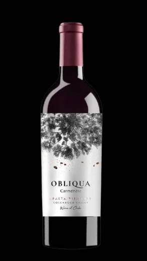 V CH OBLIQUA CARMENERE 750 ml | CHILE