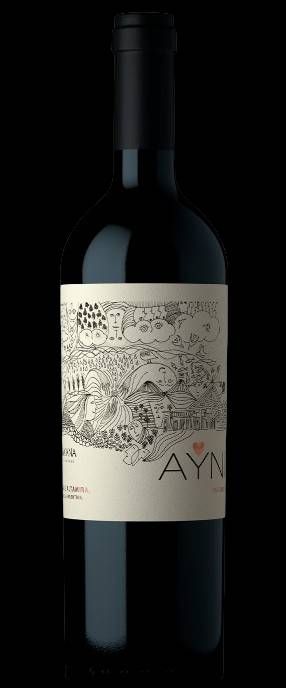 V AR CHAKANA TT AYNI MALBEC 750