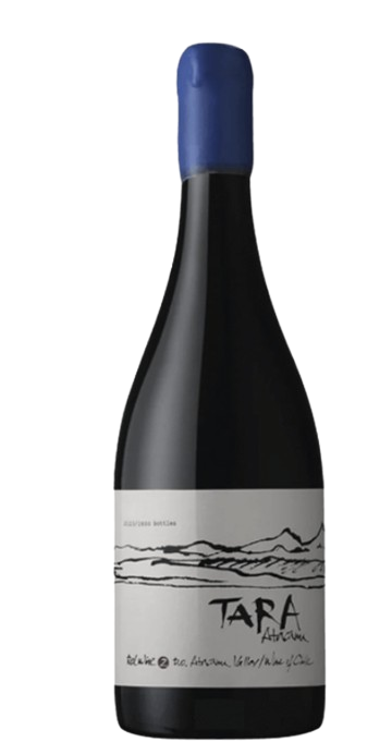V CH TARA ATACAMA SYRAH