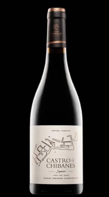 V PO ADEGA CAMOLAS, CASTRO DE CHIBANES 2019