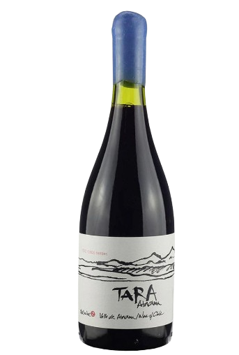 V CH TARA ATACAMA PINOT NOIR