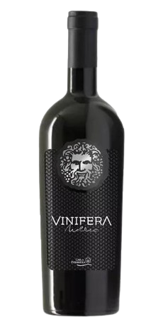 Vinho Vinifera Malbec Argentino 750ml