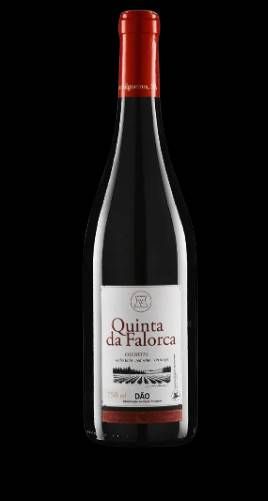 V PO FALORCA TT COLHEITA SEL 16 750