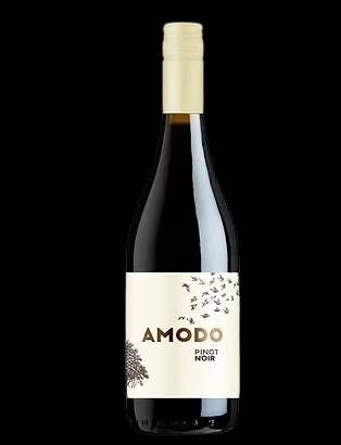 V IT AMODO PINOT NOIR IGT PAVIA GFA