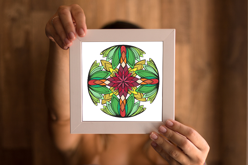 Mandala Amazônia
