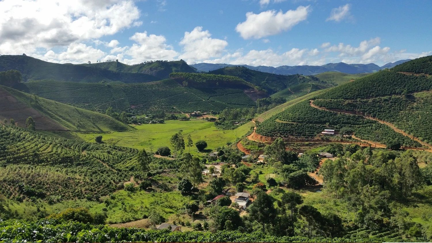 Cerrado