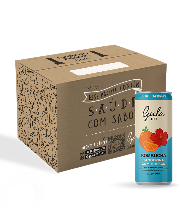 CAIXA KOMBUCHA TANGERINA E HIBISCO – 269ML (12 un)