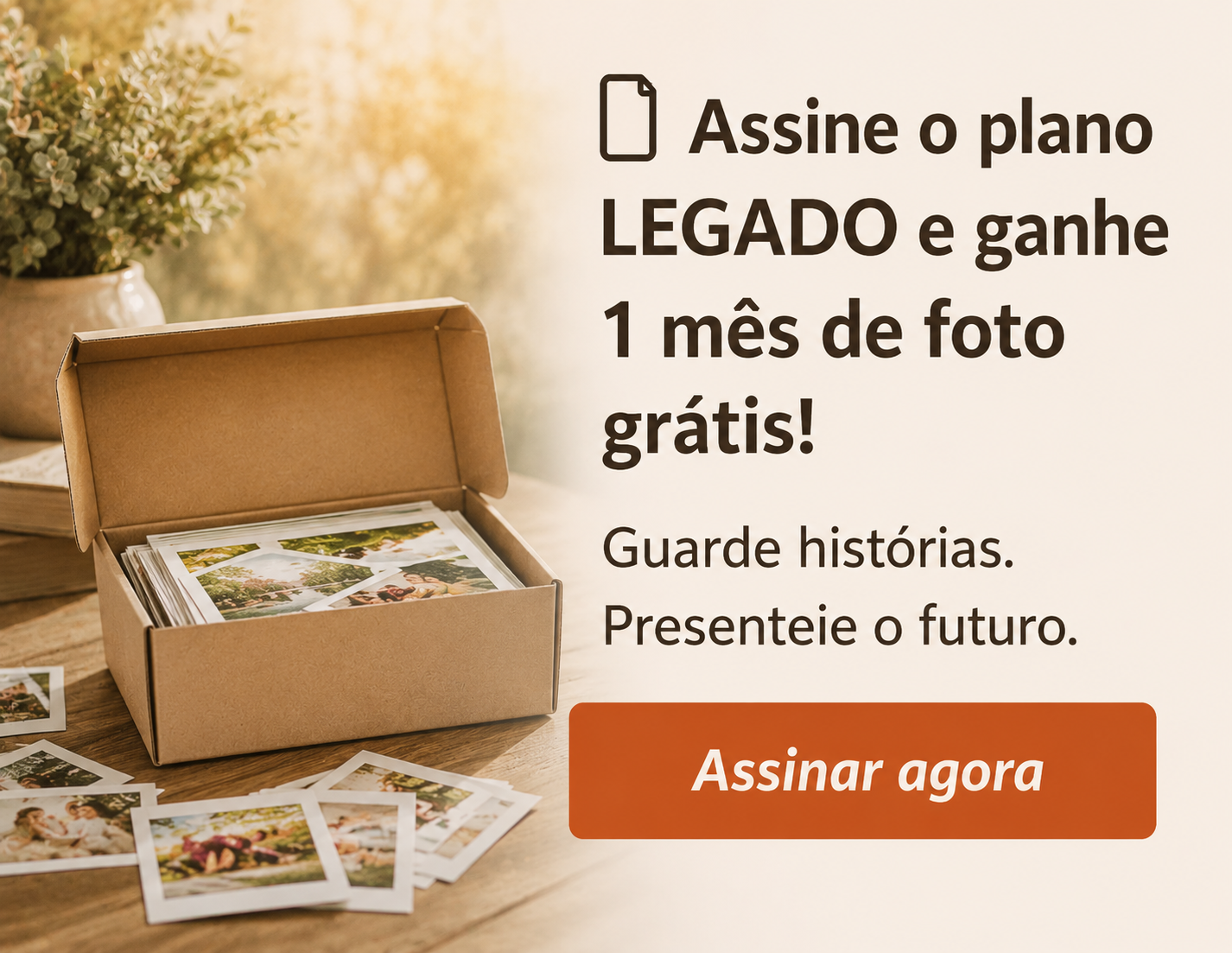 Oferta 01
