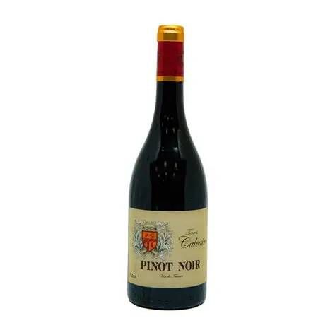 TERRES CALCAIRES PINOT NOIR 750ML