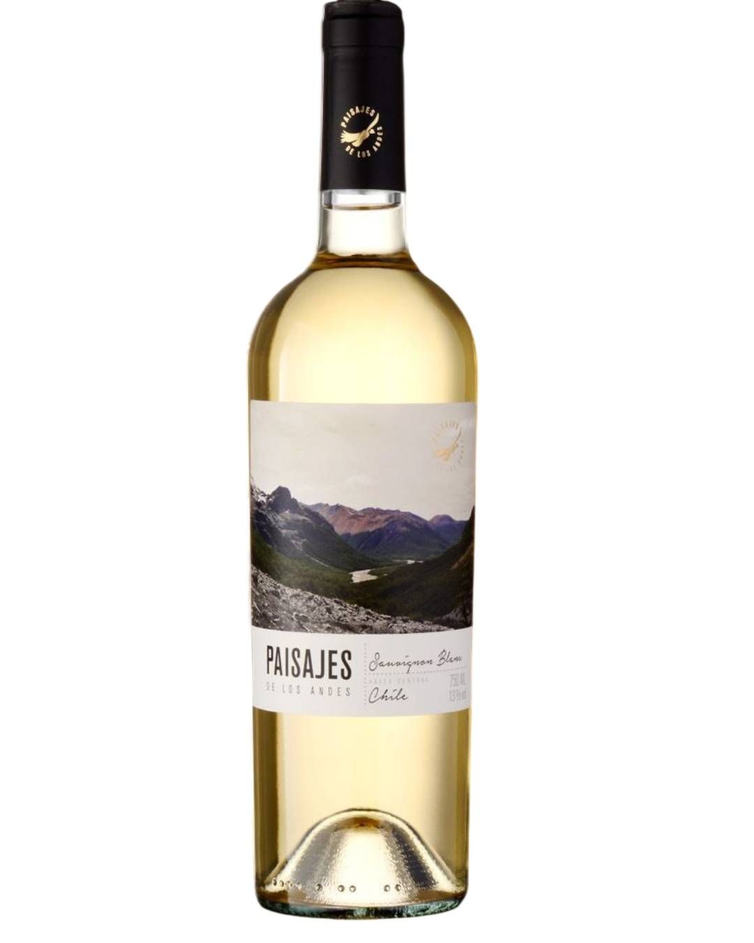 220125 - VINHO FINO BRANCO SECO PAISAJES DE LOS ANDES CLASSIC SAUVIGNON BLANC 750ML SF 2025