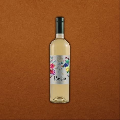 PACHA RESERVA SAUVIGNON BLANC 