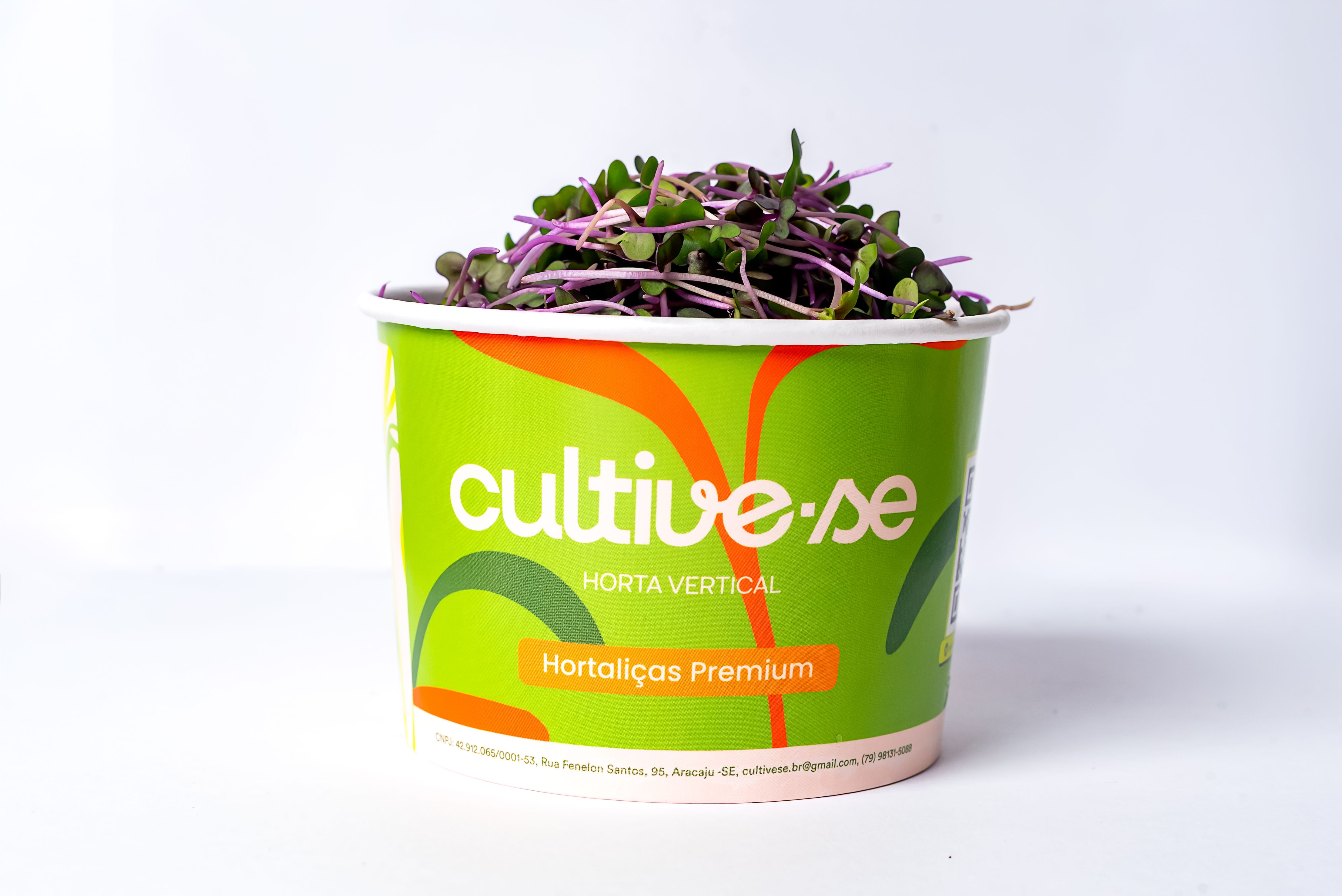 Microverdes de Repolho Roxo