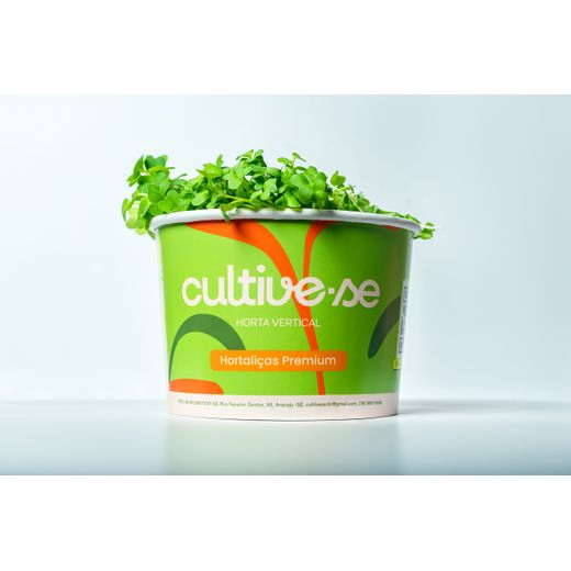 Microverdes de Couve