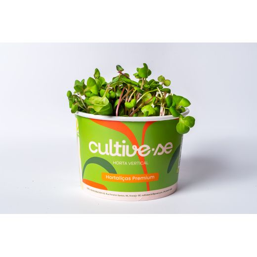Microverdes de Rabanete 